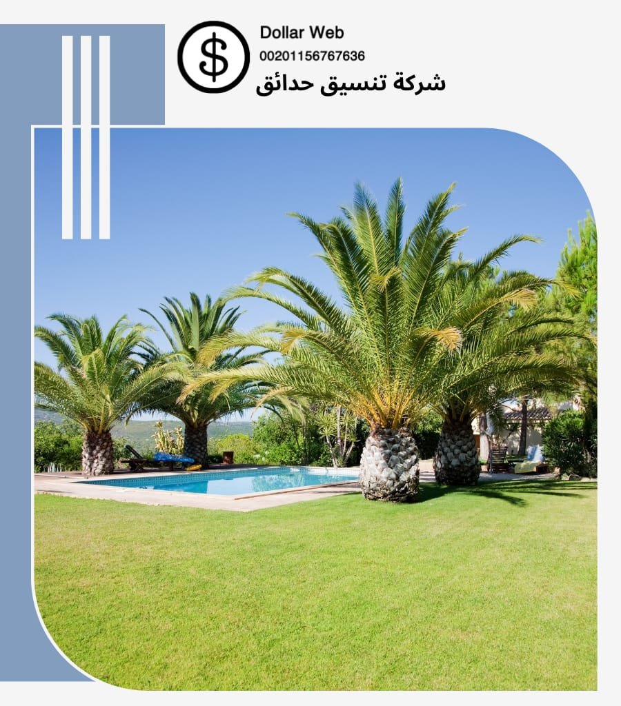 تنسيق حدائق الزاهرء جدة