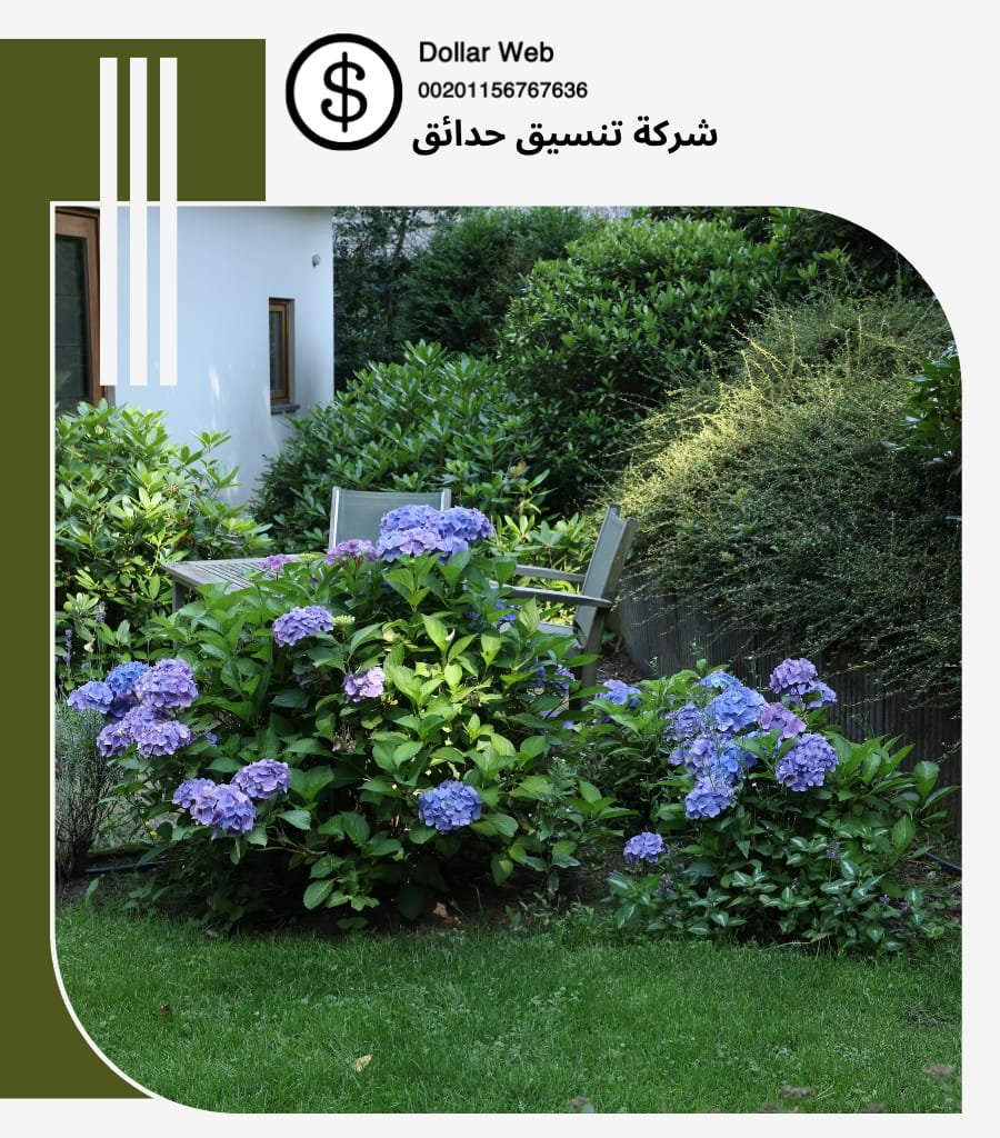 تنسيق الحدائق حي الفيصلية جدة